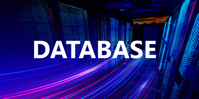 DATABASE